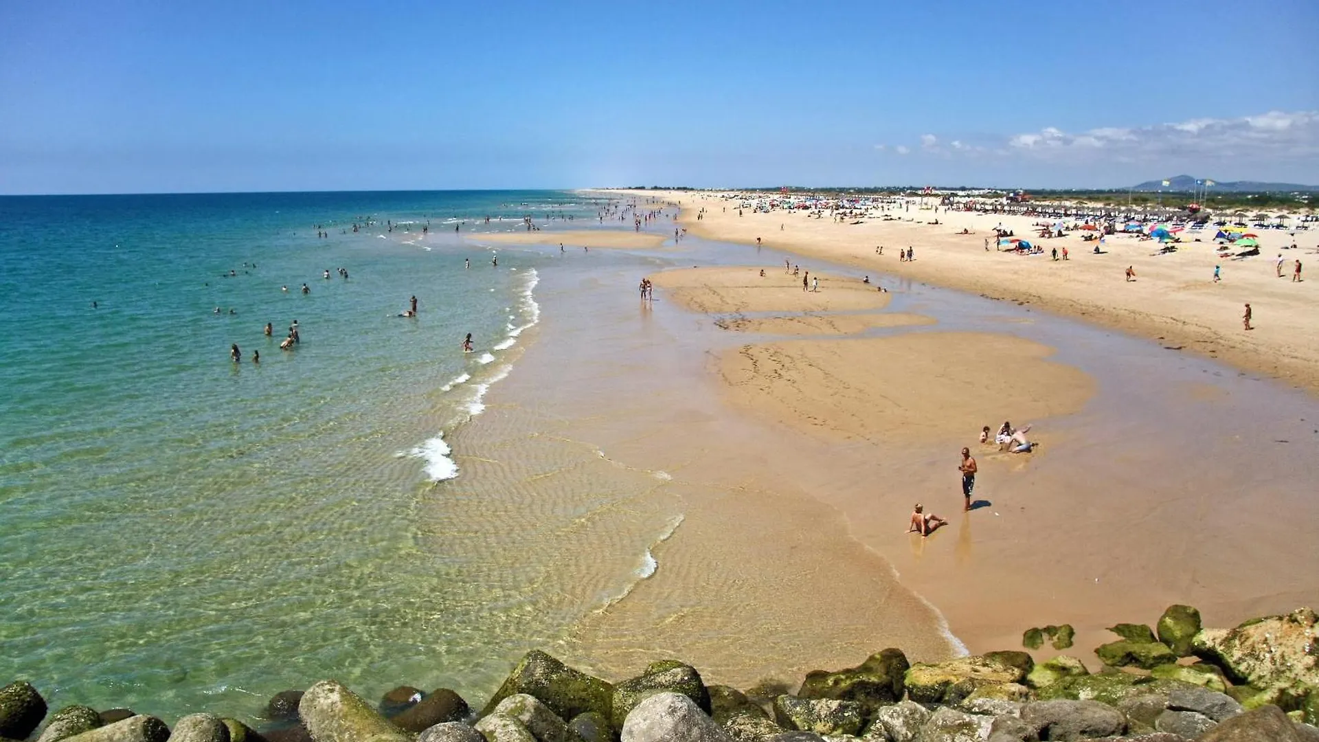Tavira Palm Tree By Homing Apartamento